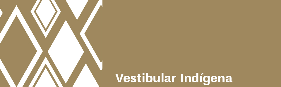 banner indigena2